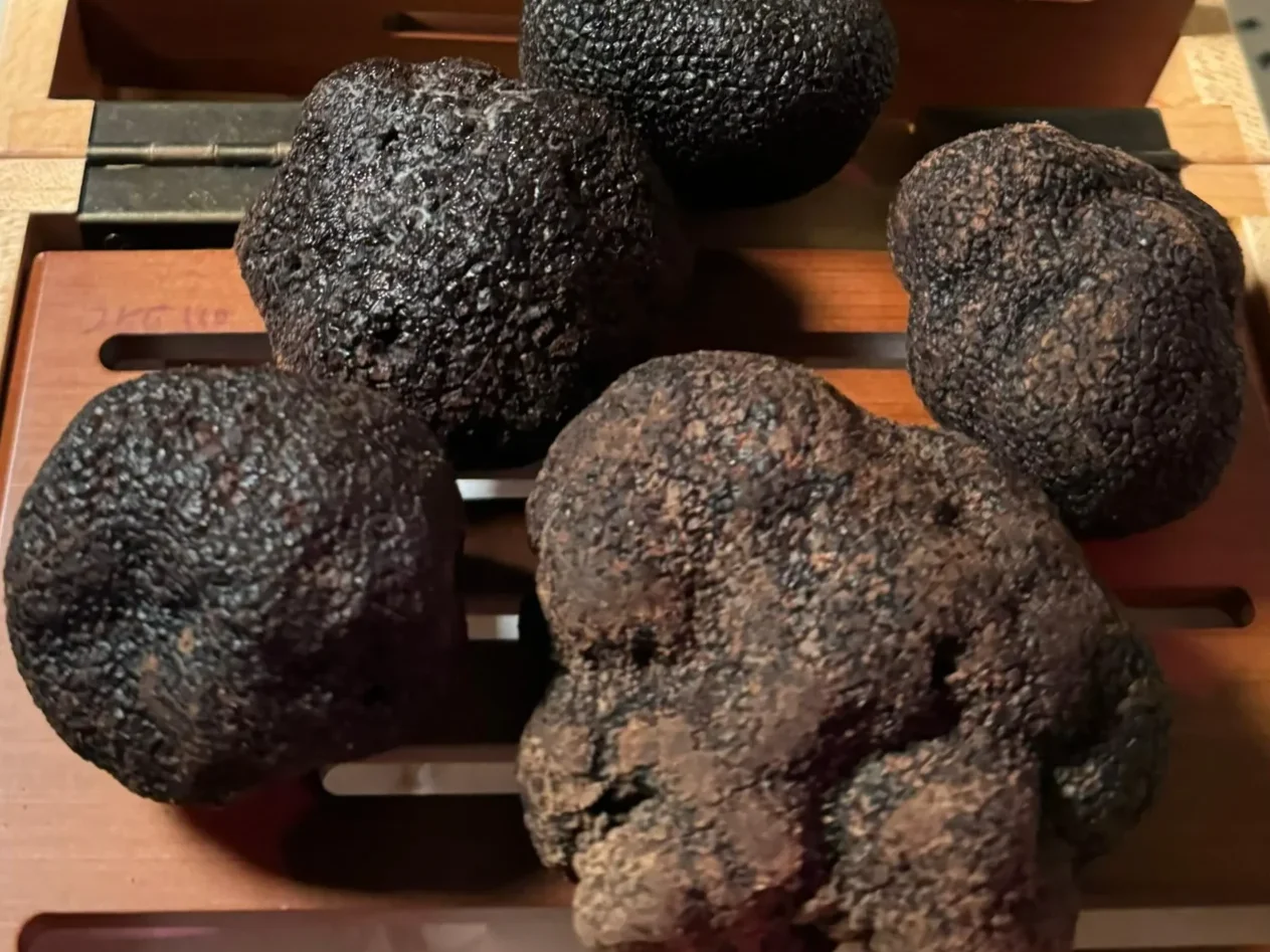 Black French truffles on a serving board ready for use at a function event in Macau hosting by Antoine Piccolo.