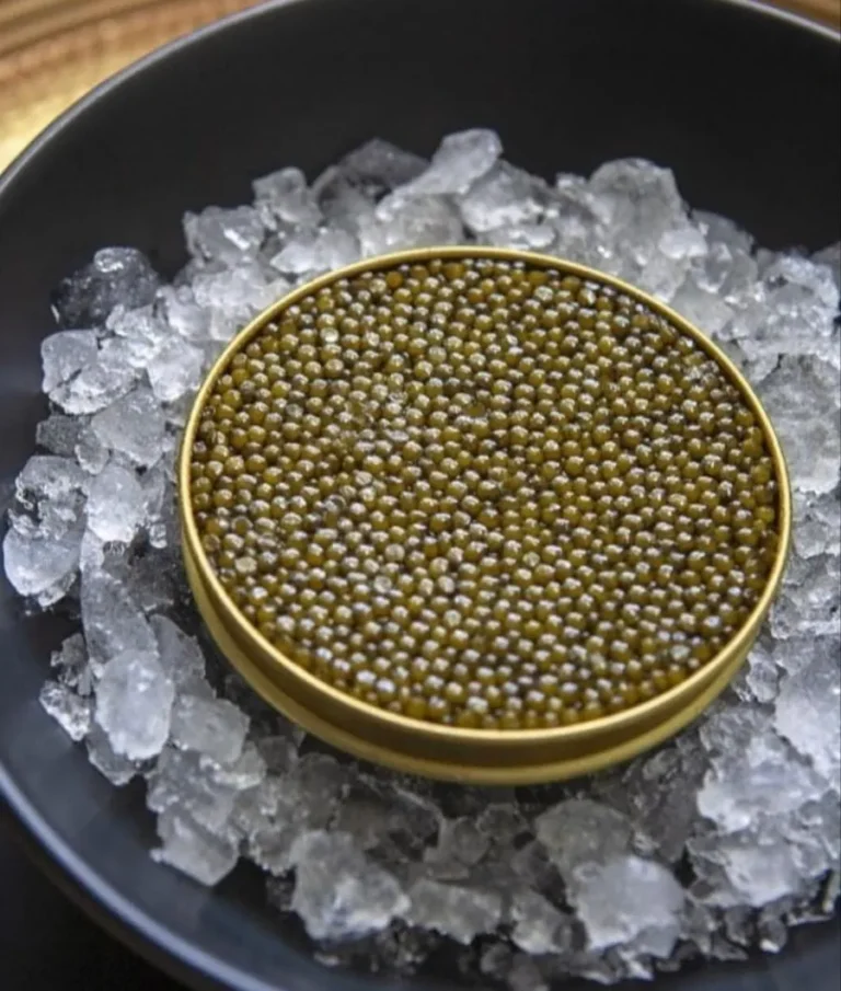 A world of caviars Sturgeon Caviar