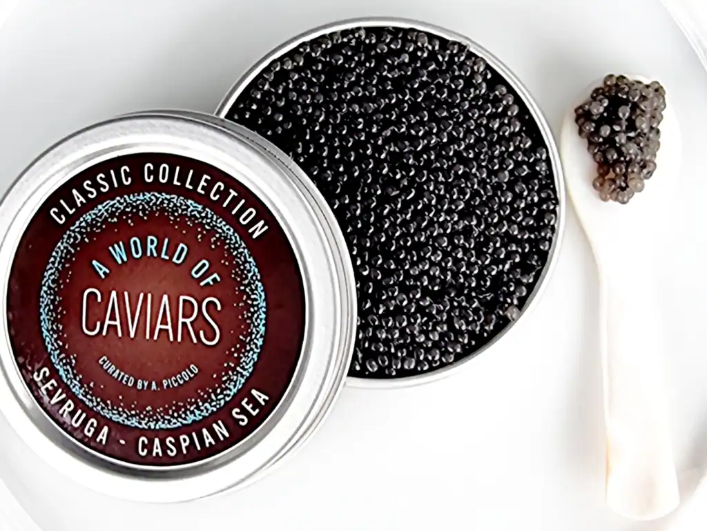 Sevruga Caviars a world of caviar