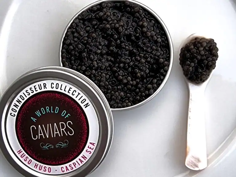 Huso Huso Caviar Caspian Sea